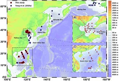 Development of a novel sea surface temperature proxy based on bacterial 3-hydroxy fatty acids